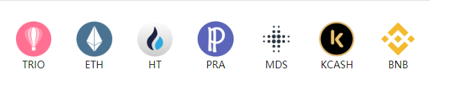 Tripio Inc. Reviews, Offering & Cryptos (2021