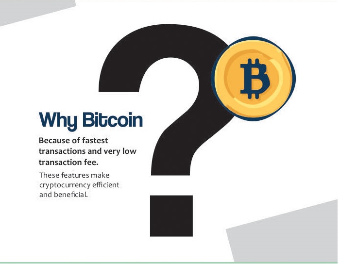 Picture 4 - Bitcoin Infographic