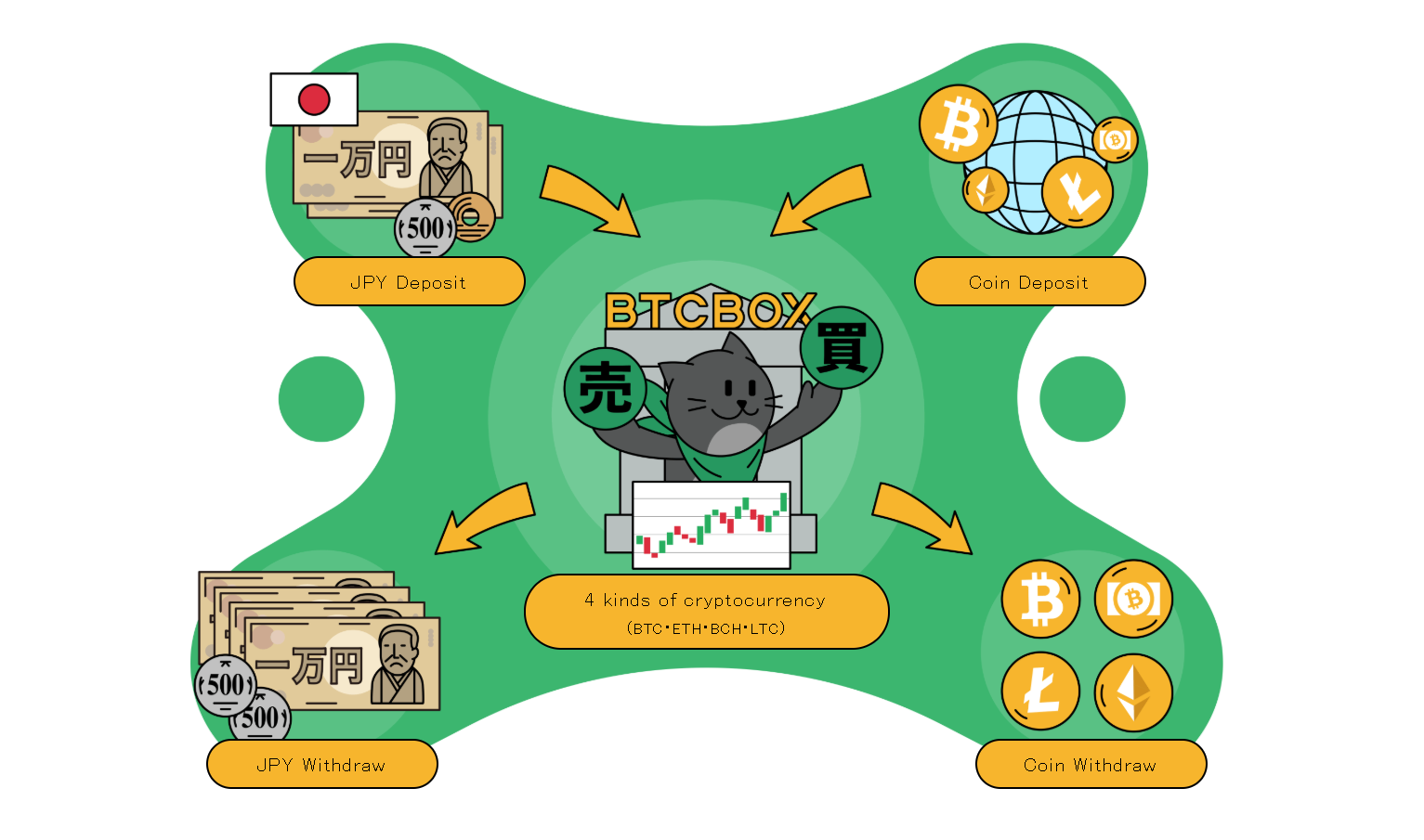 BTCBox Cat Infographic